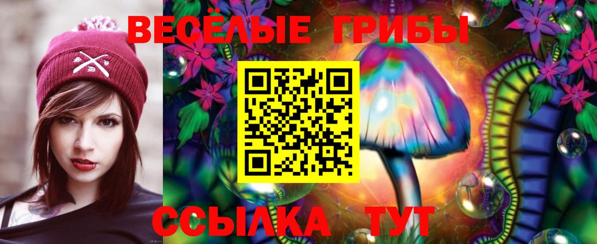 Галлюциногенные грибы прущие грибы  Вход с VPN  Галлюциногенные грибы прущие грибы  Борзя 