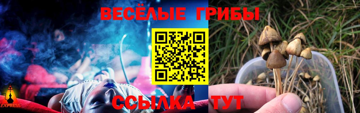 Псилоцибиновые грибы GOLDEN TEACHER Борзя